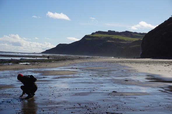 28851118770_89d61c10f0_o