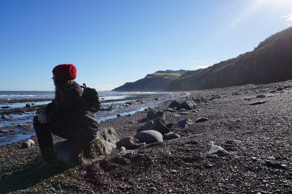 29033014362_78cb4d4789_o