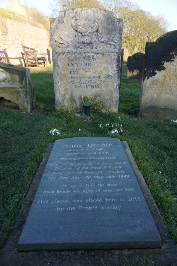 29060253391_40c65f224c_o