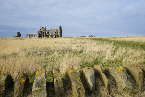 29061518661_11e5ded7f5_o