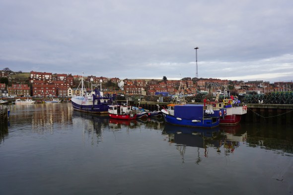 29138589455_291548b465_o